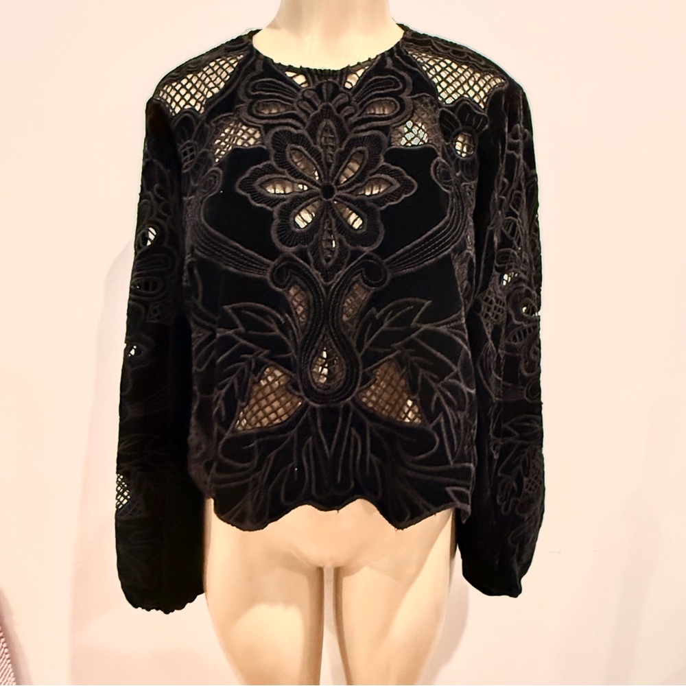 Zara Black Velvet Cutout Floral Long-Sleeve Top